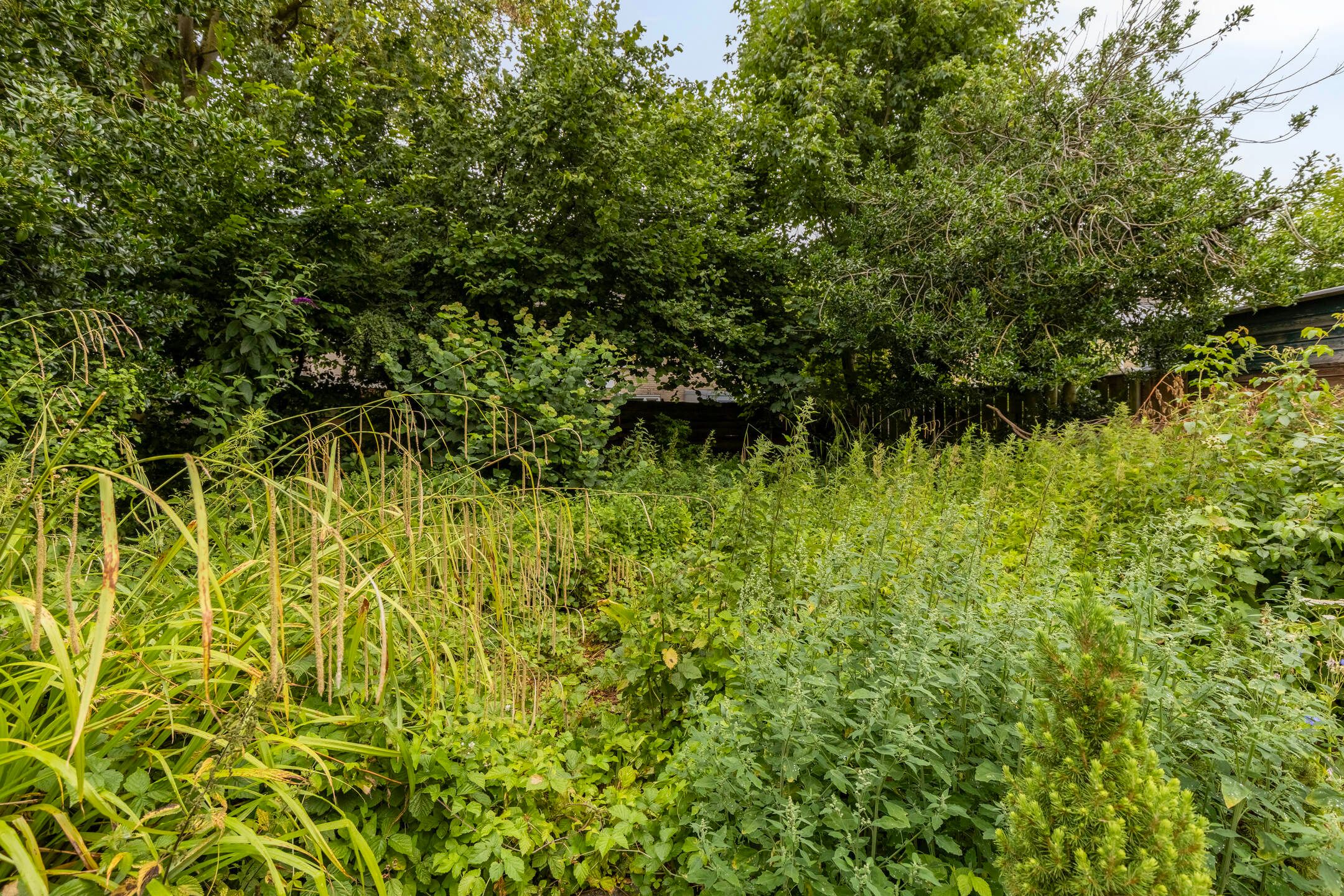 Foto 33 van Burg Jasparstraat 11