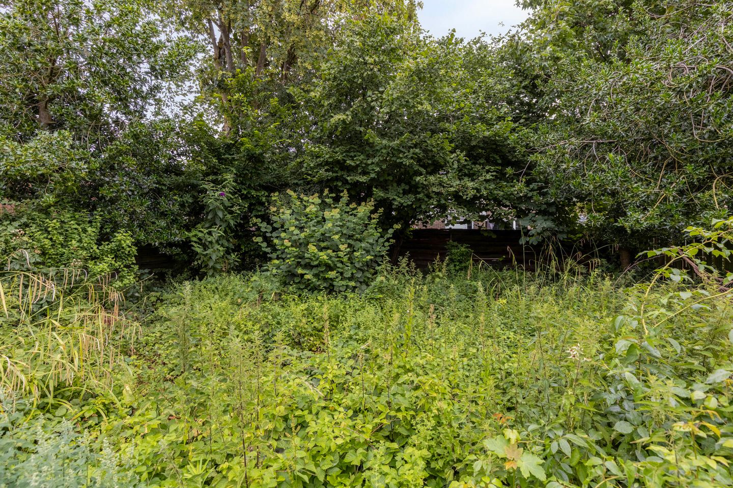 Foto 34 van Burg Jasparstraat 11