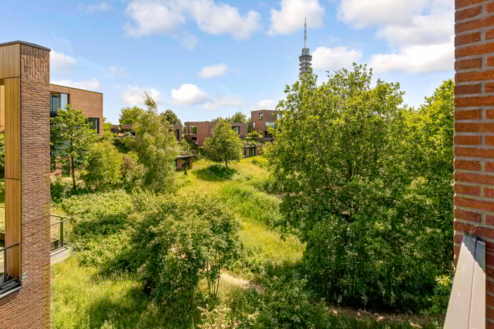 Foto 31 van Duintop 11