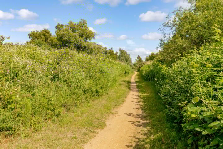 Foto 52 van Duintop 11