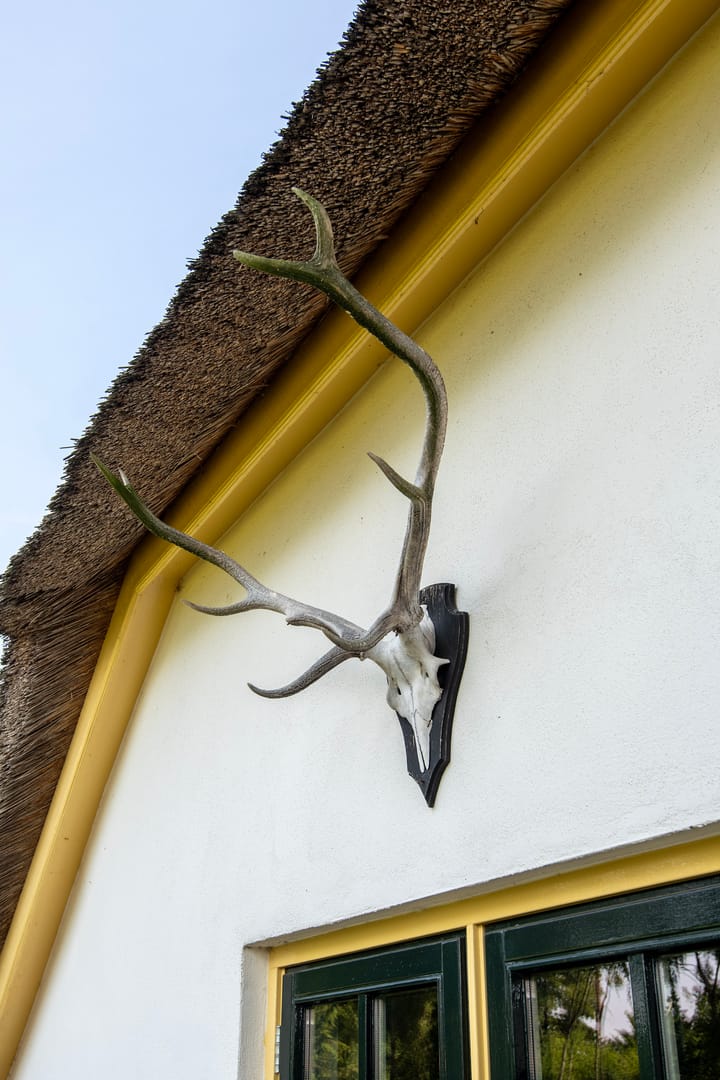 Foto 38 van Voorthuizerstraat 91