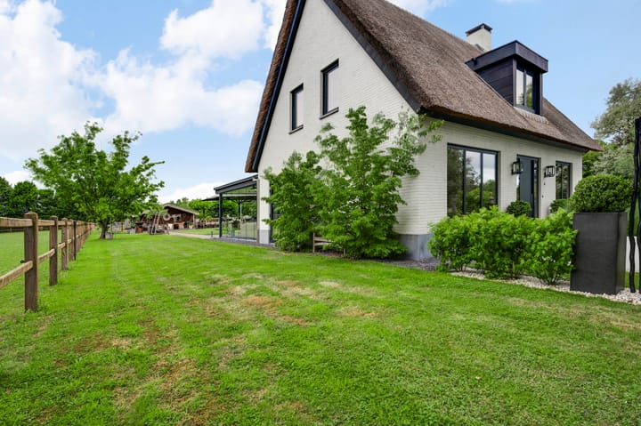 Photo 55 of Grensweg 4