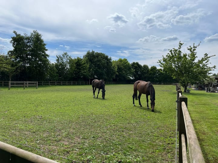 Photo 58 of Grensweg 4