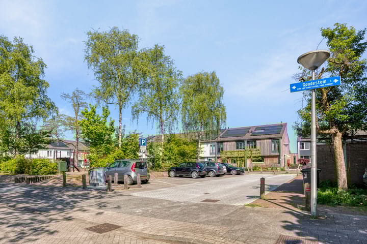 Foto 20 van Goudestein 58