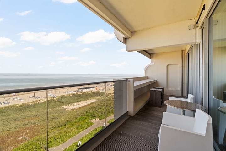 Foto 9 van Duinroos 66