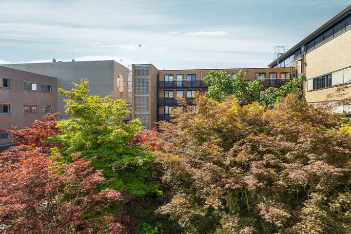 Foto 43 van Schoutstraat 61-G