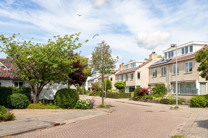 Foto 4 van Marco Polorede 23