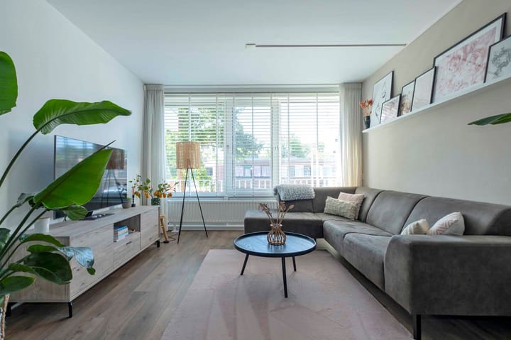 Foto 8 van Sloep 142