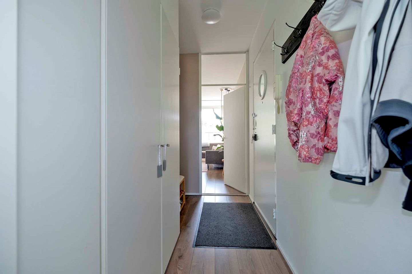 Foto 5 van Sloep 142