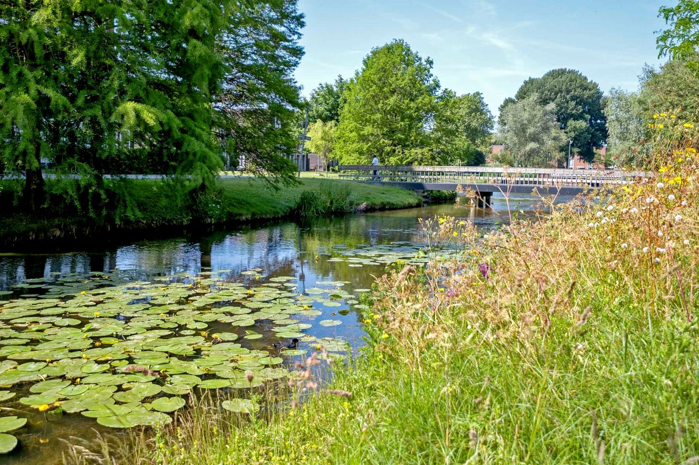 Foto 50 van Sloep 142