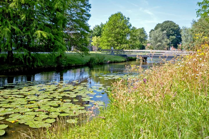 Foto 50 van Sloep 142