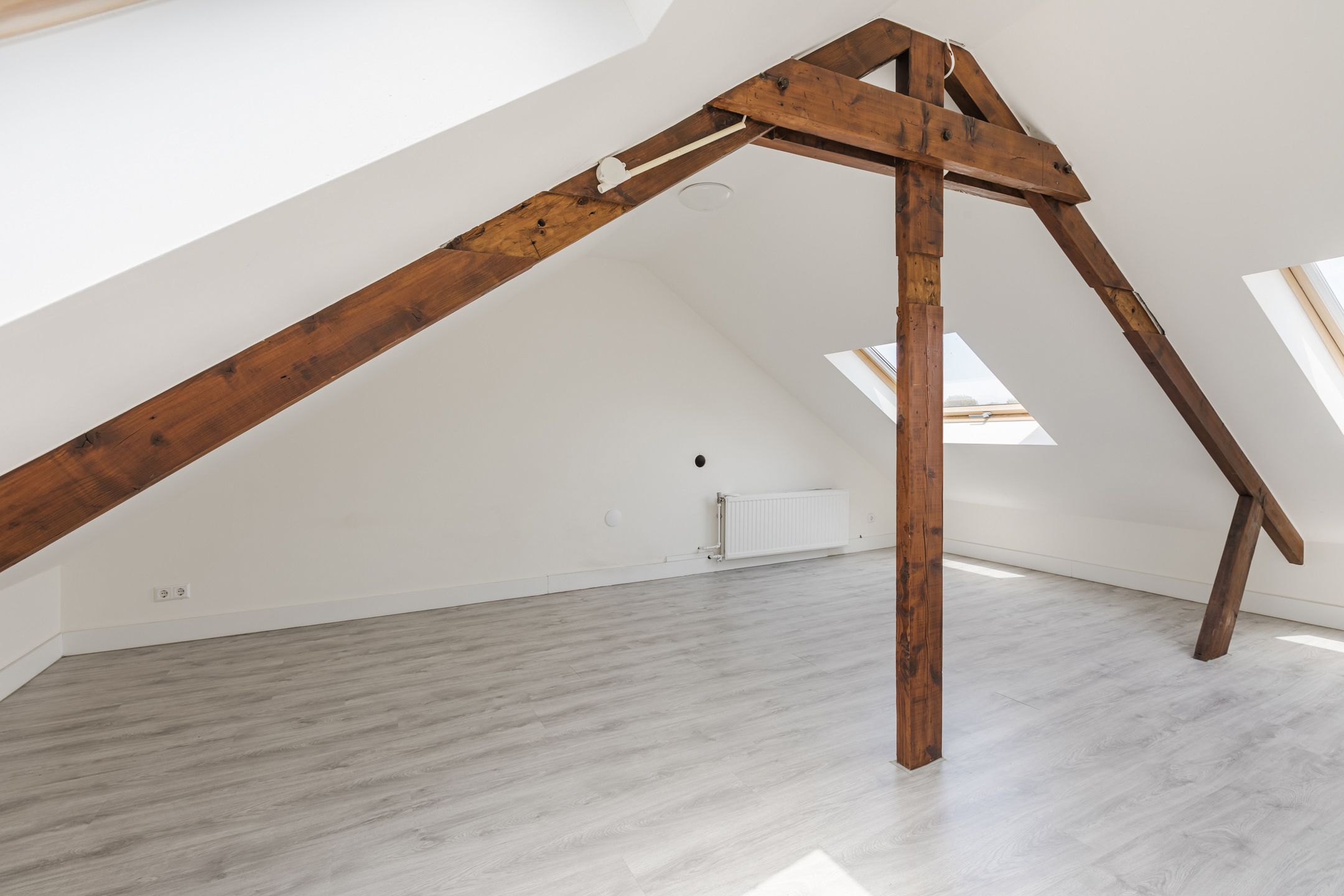 Foto 30 van Dr. Cuijpershof 48