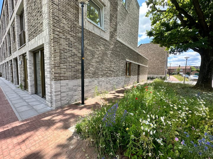 Foto 18 van Wegastraat 12