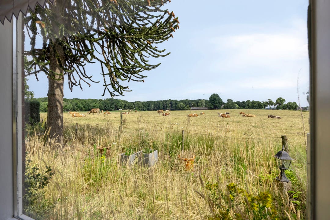 Photo 41 of Gaanderenseweg 353