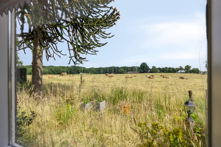 Foto 41 van Gaanderenseweg 353