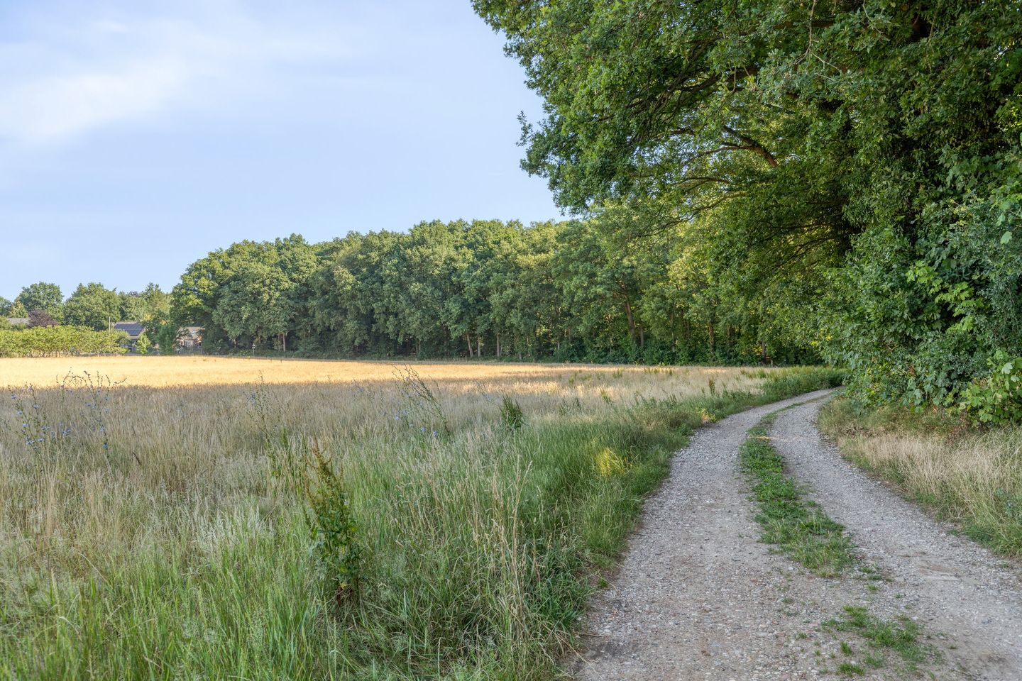 Photo 65 of Gaanderenseweg 353