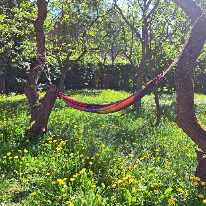 Foto 16 van Rijksweg-West 89