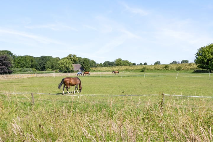 Foto 24 van Rijksweg-West 89