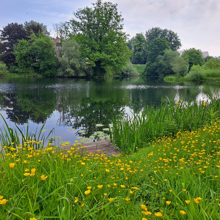 Foto 25 van Rijksweg-West 89