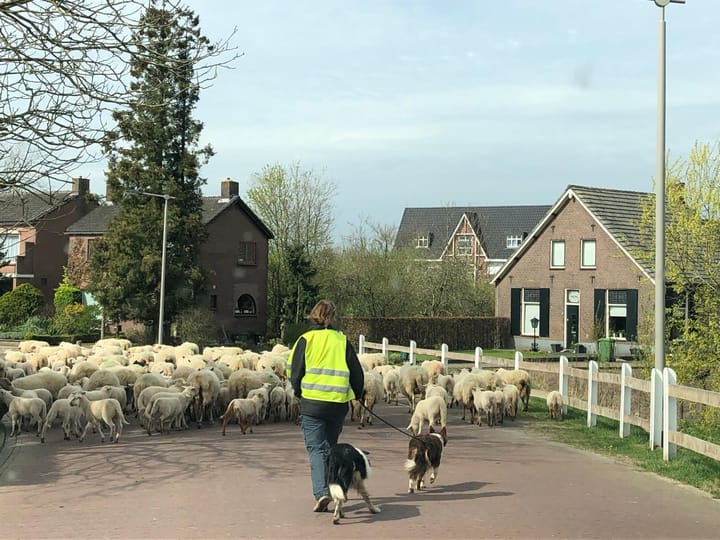 Foto 26 van Rijksweg-West 89