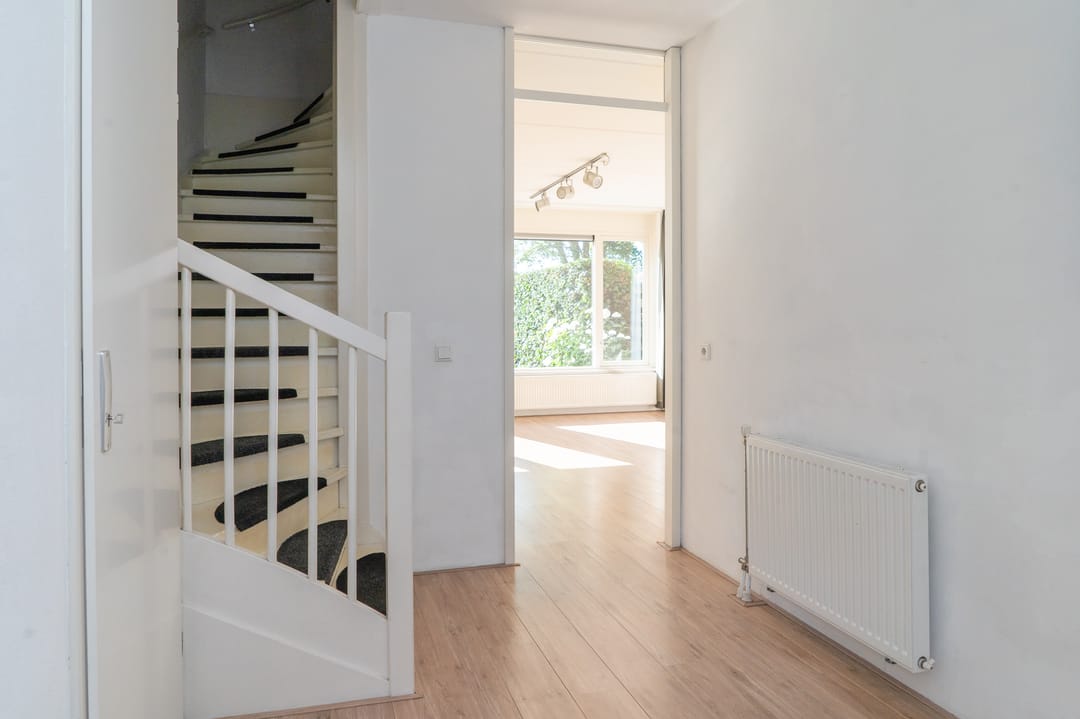 Photo 8 of Sterappel 64