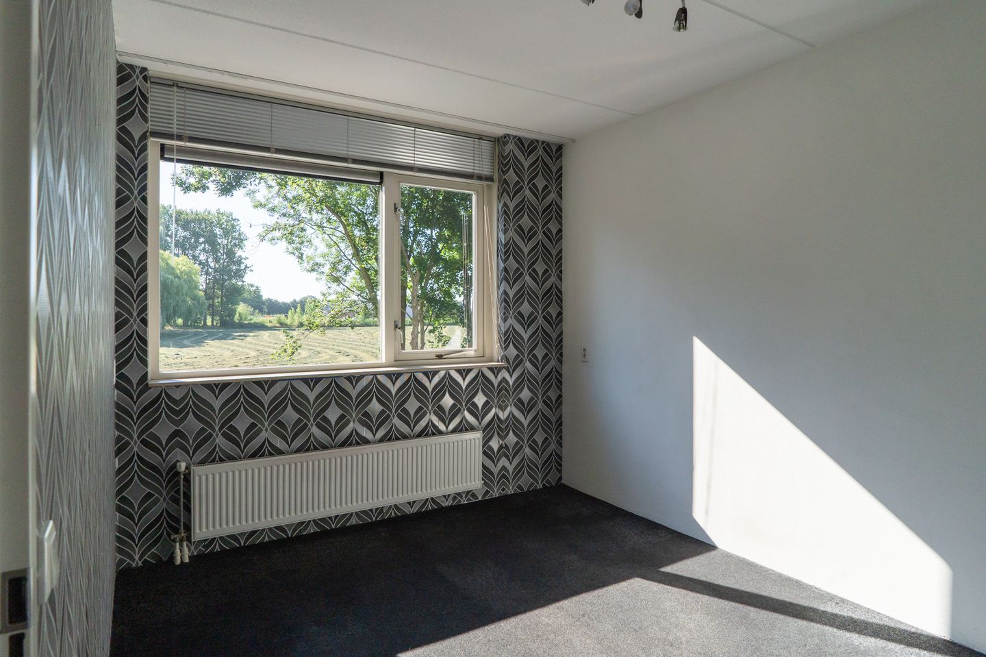 Photo 19 of Sterappel 64