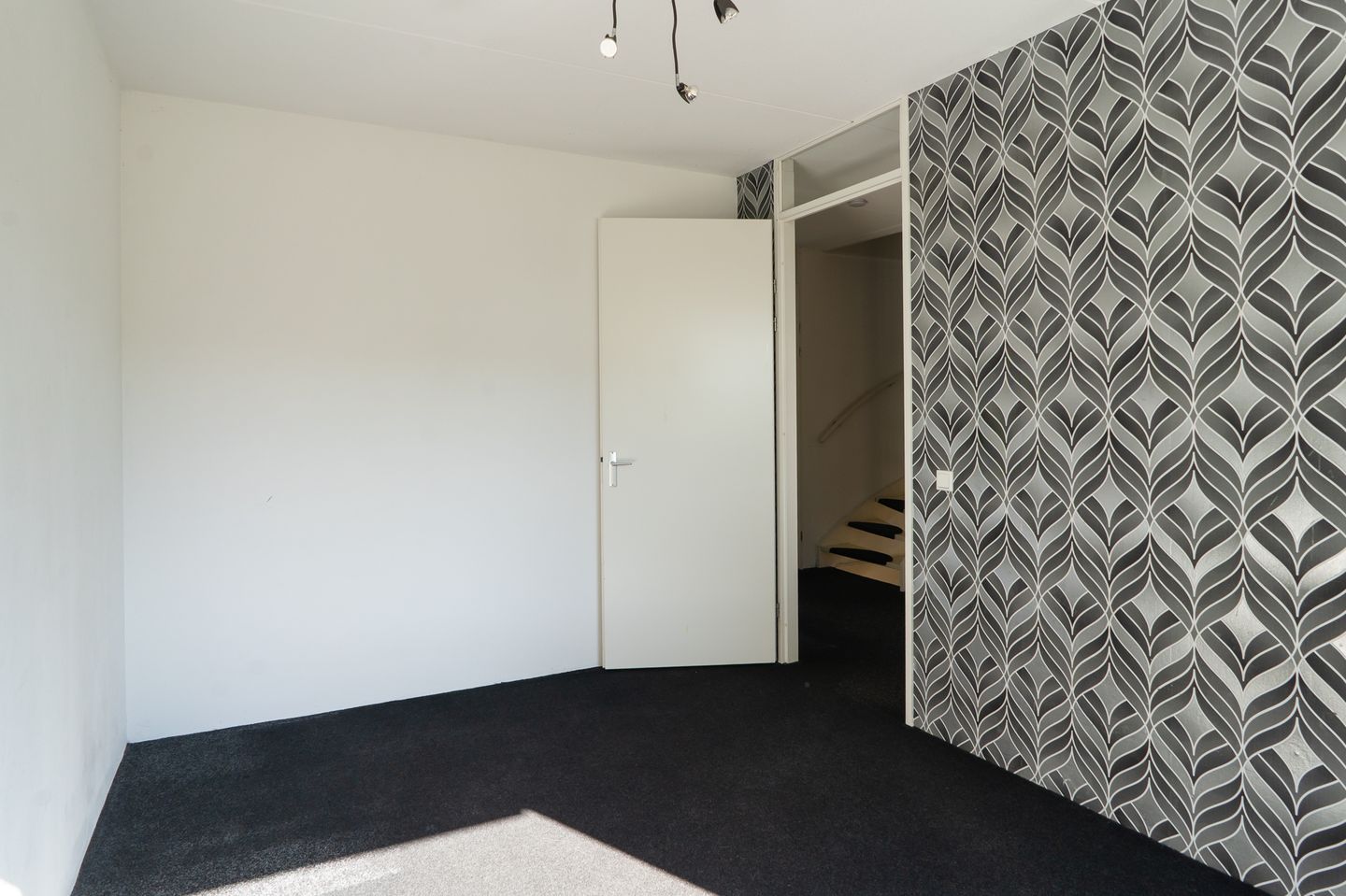 Photo 20 of Sterappel 64