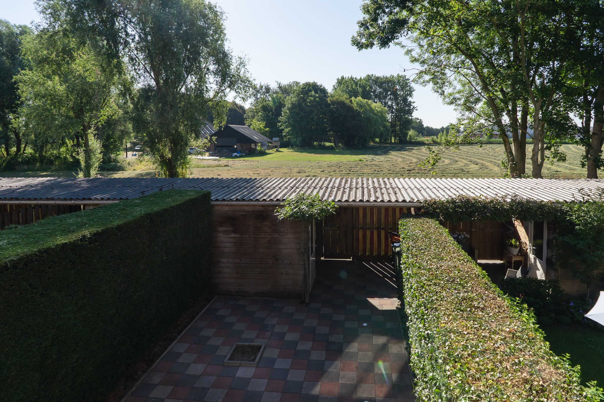 Photo 21 of Sterappel 64