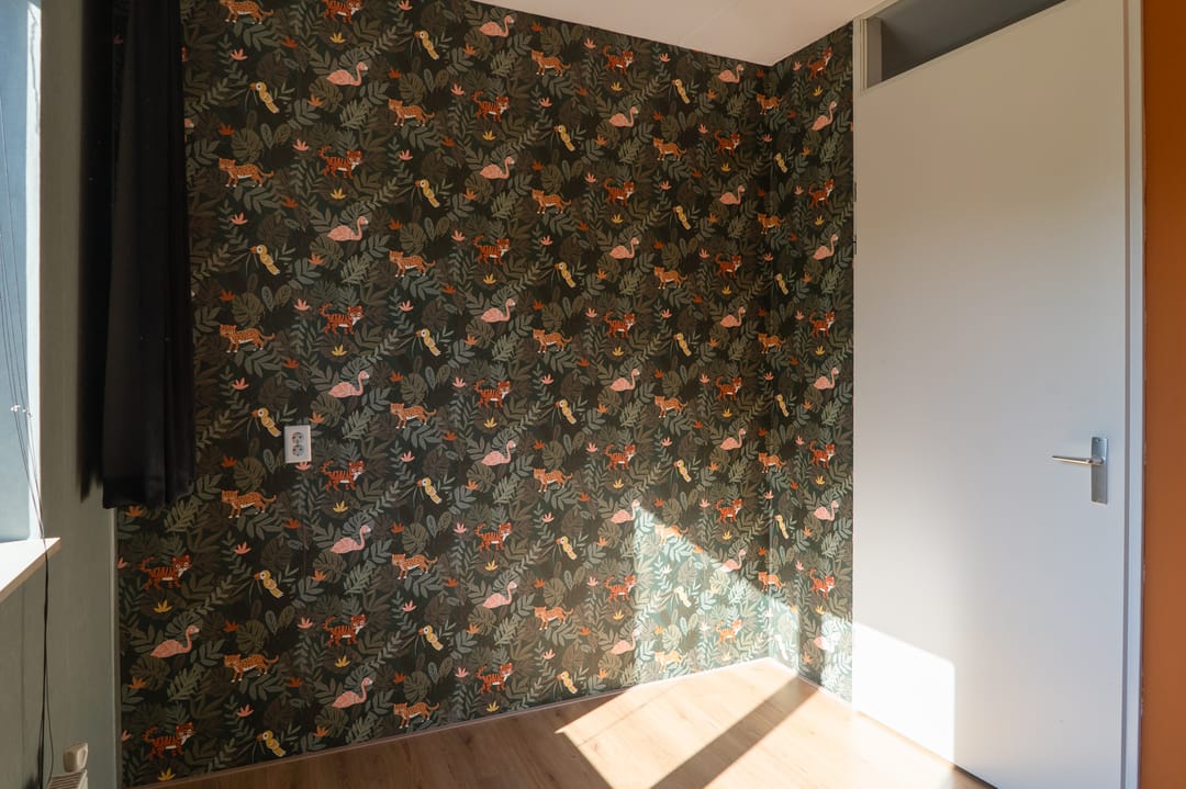 Photo 23 of Sterappel 64