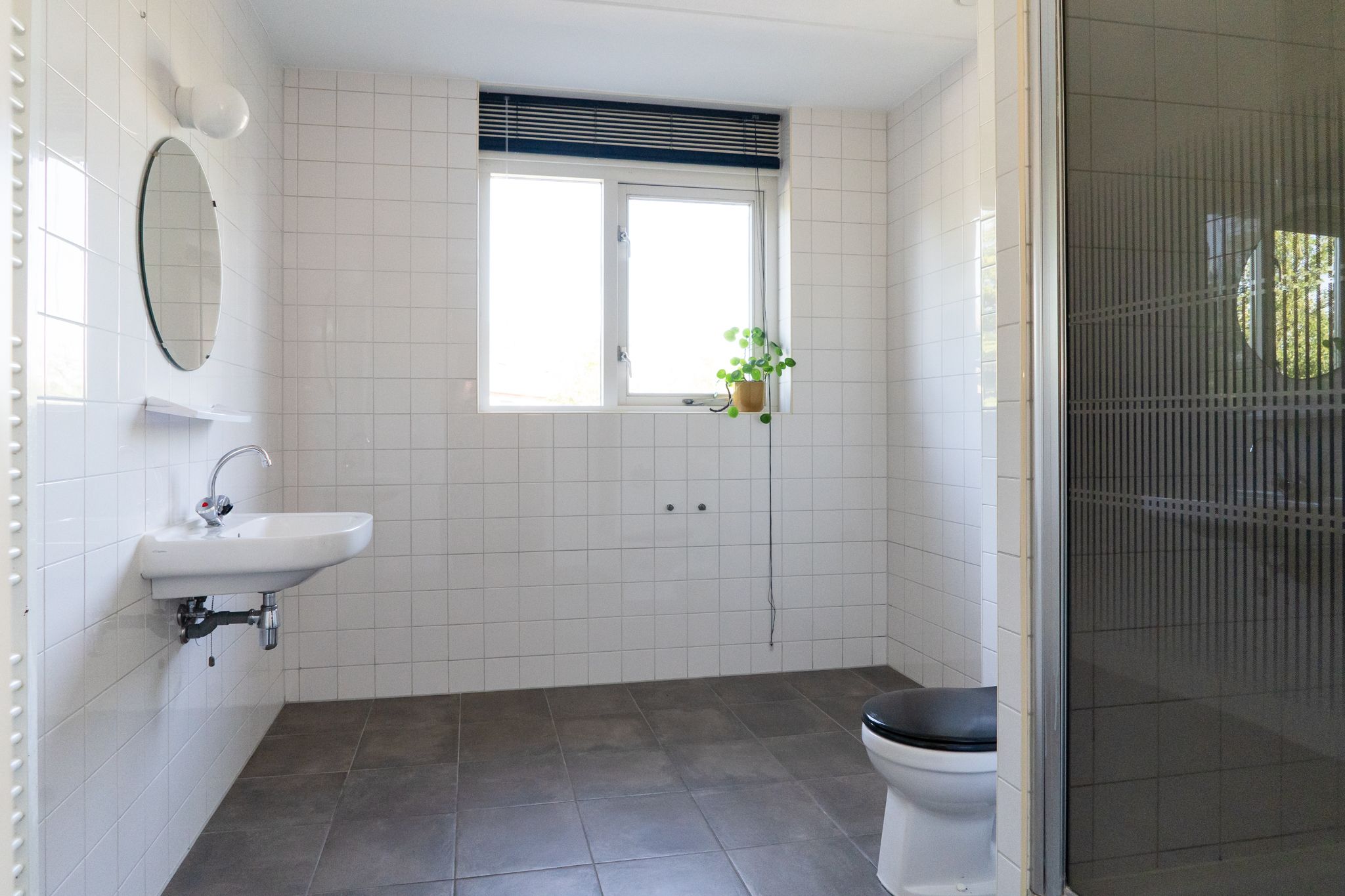 Photo 24 of Sterappel 64