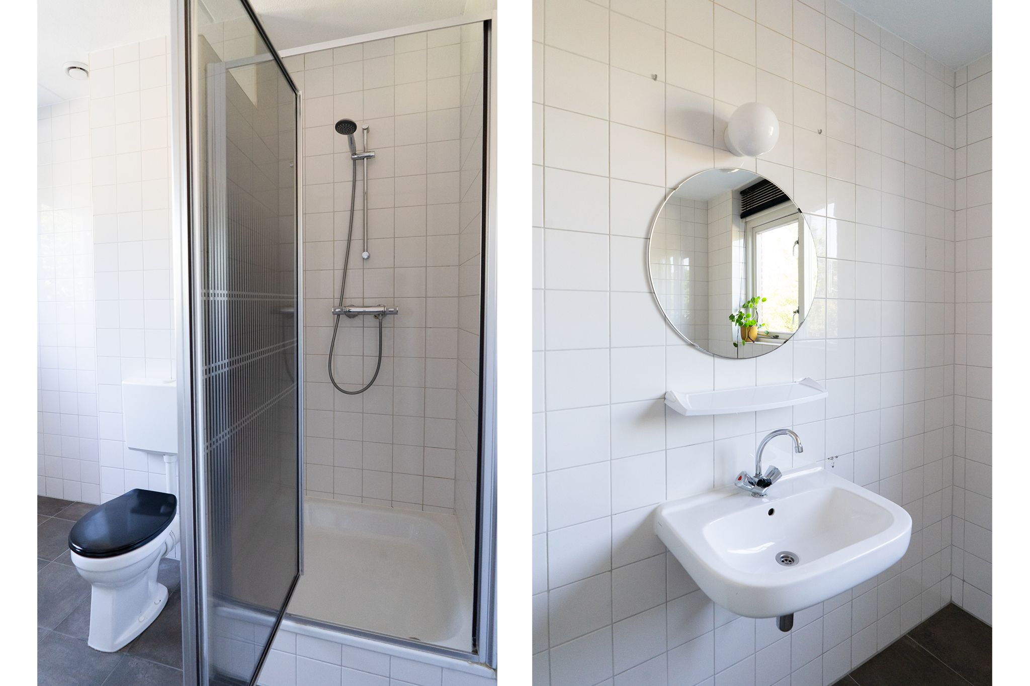 Photo 27 of Sterappel 64