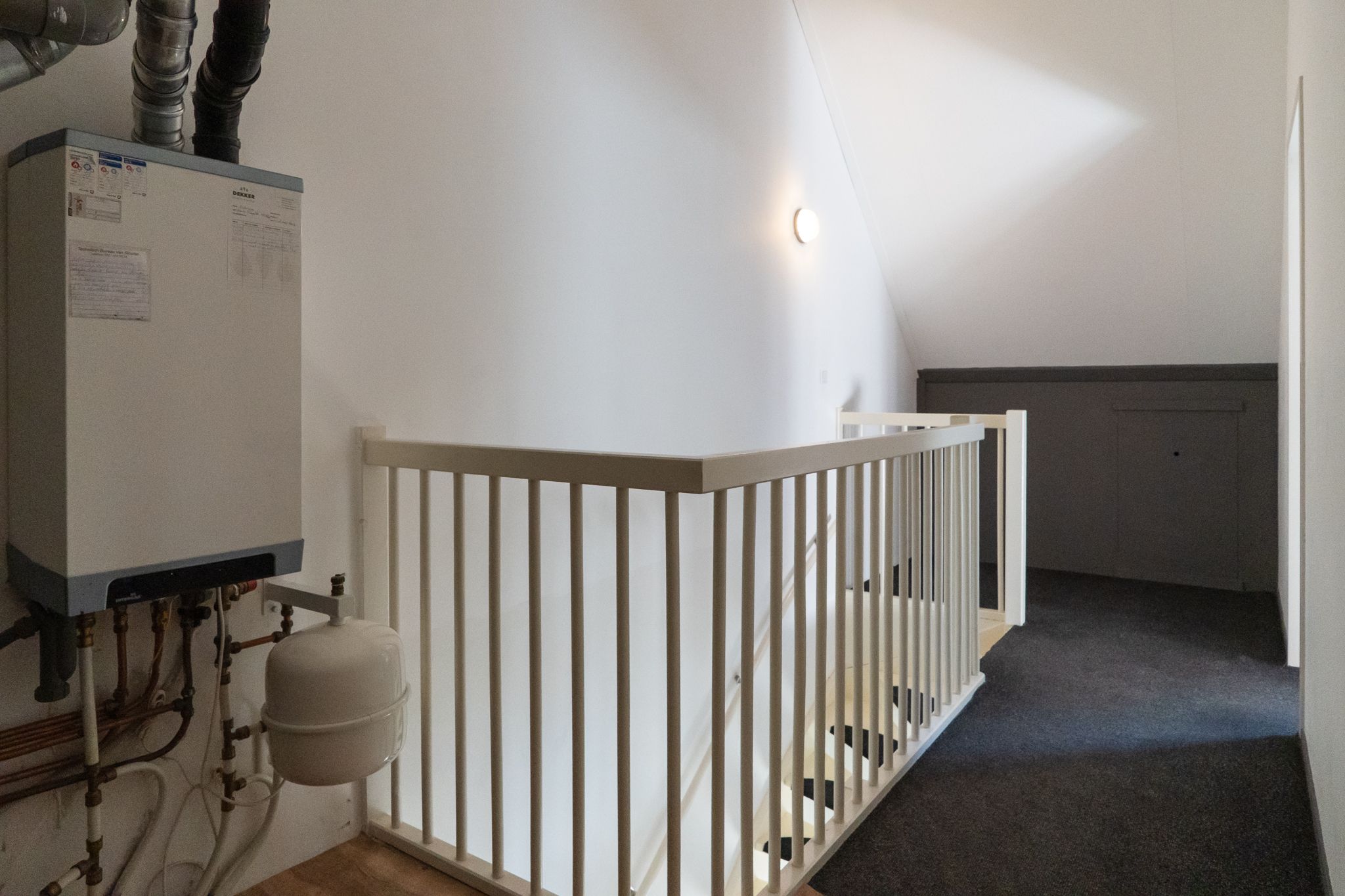 Photo 30 of Sterappel 64