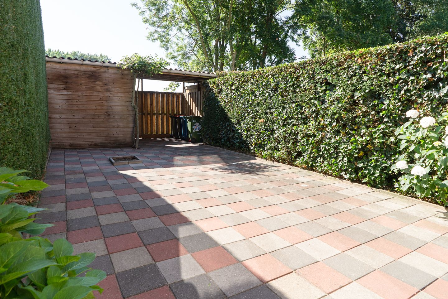 Photo 35 of Sterappel 64