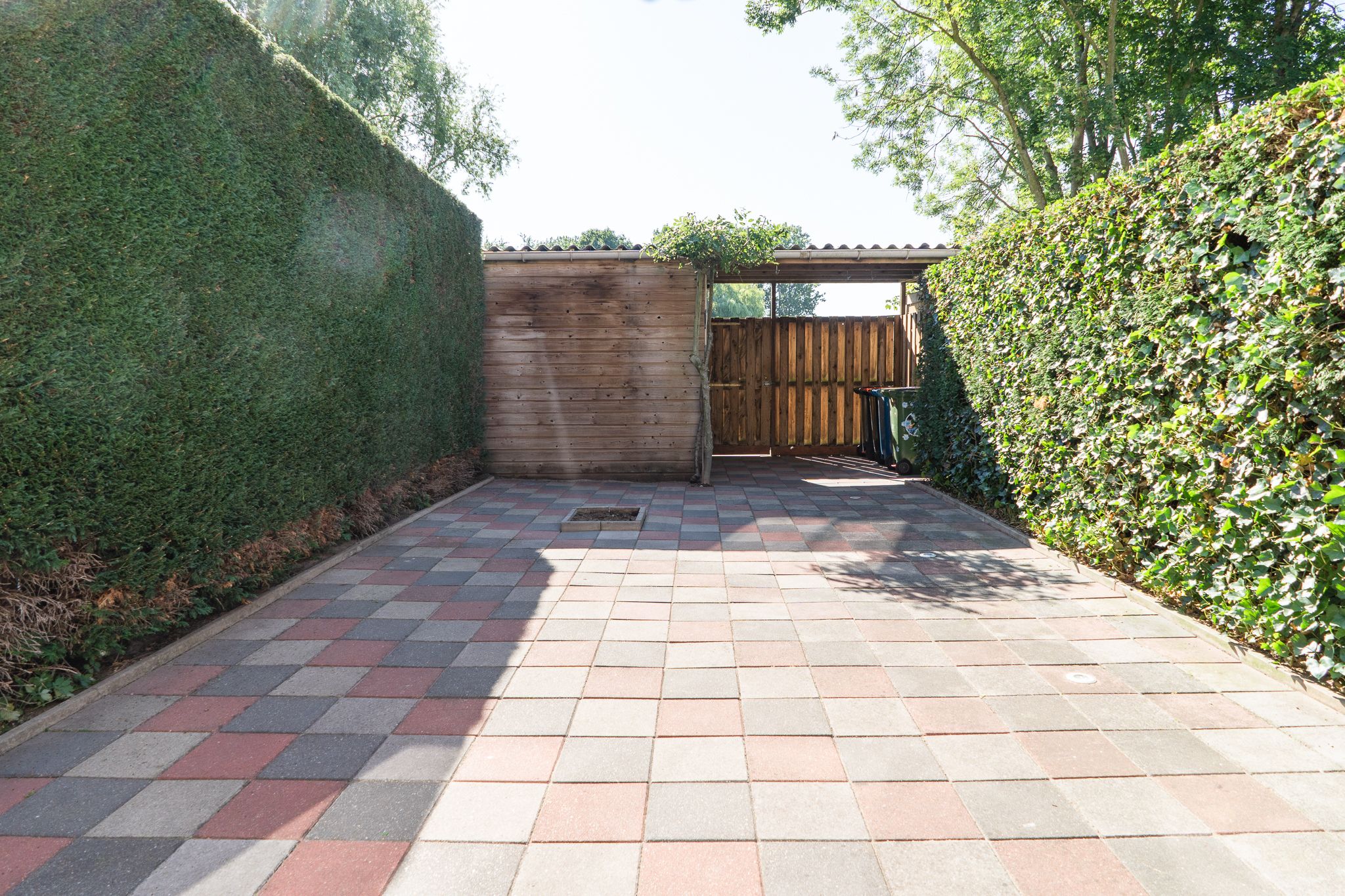 Photo 36 of Sterappel 64