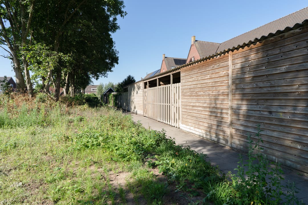 Photo 38 of Sterappel 64