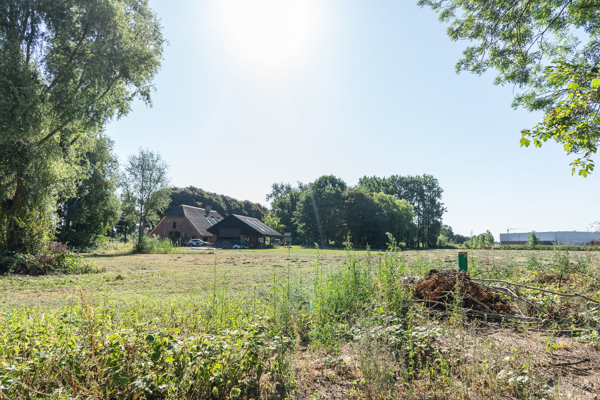 Photo 3 of Sterappel 64