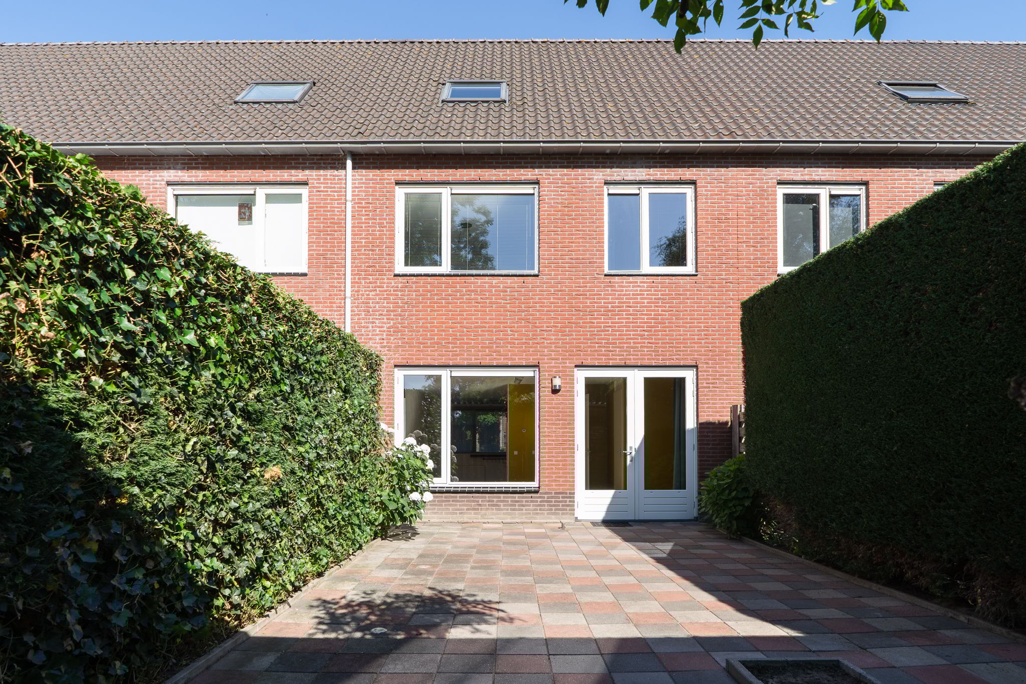 Photo 39 of Sterappel 64