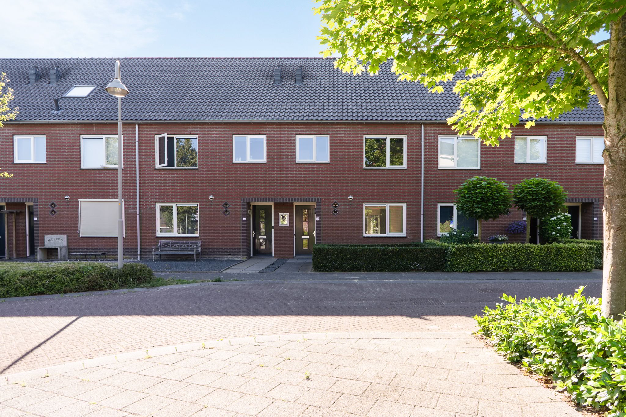 Photo 42 of Sterappel 64