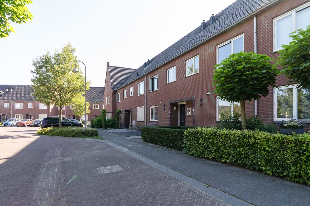 Photo 43 of Sterappel 64