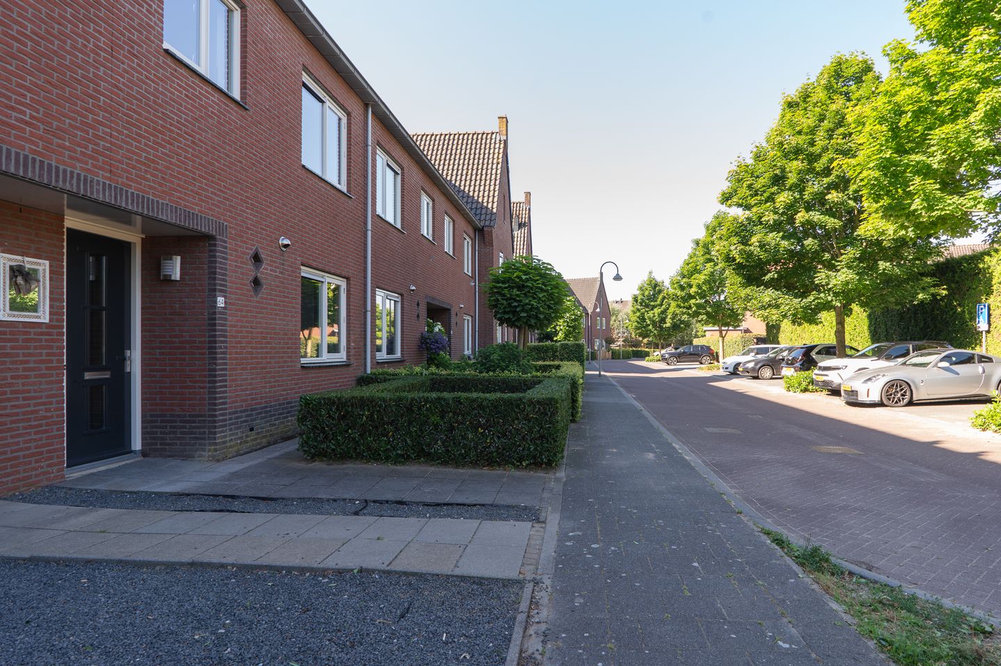 Photo 44 of Sterappel 64