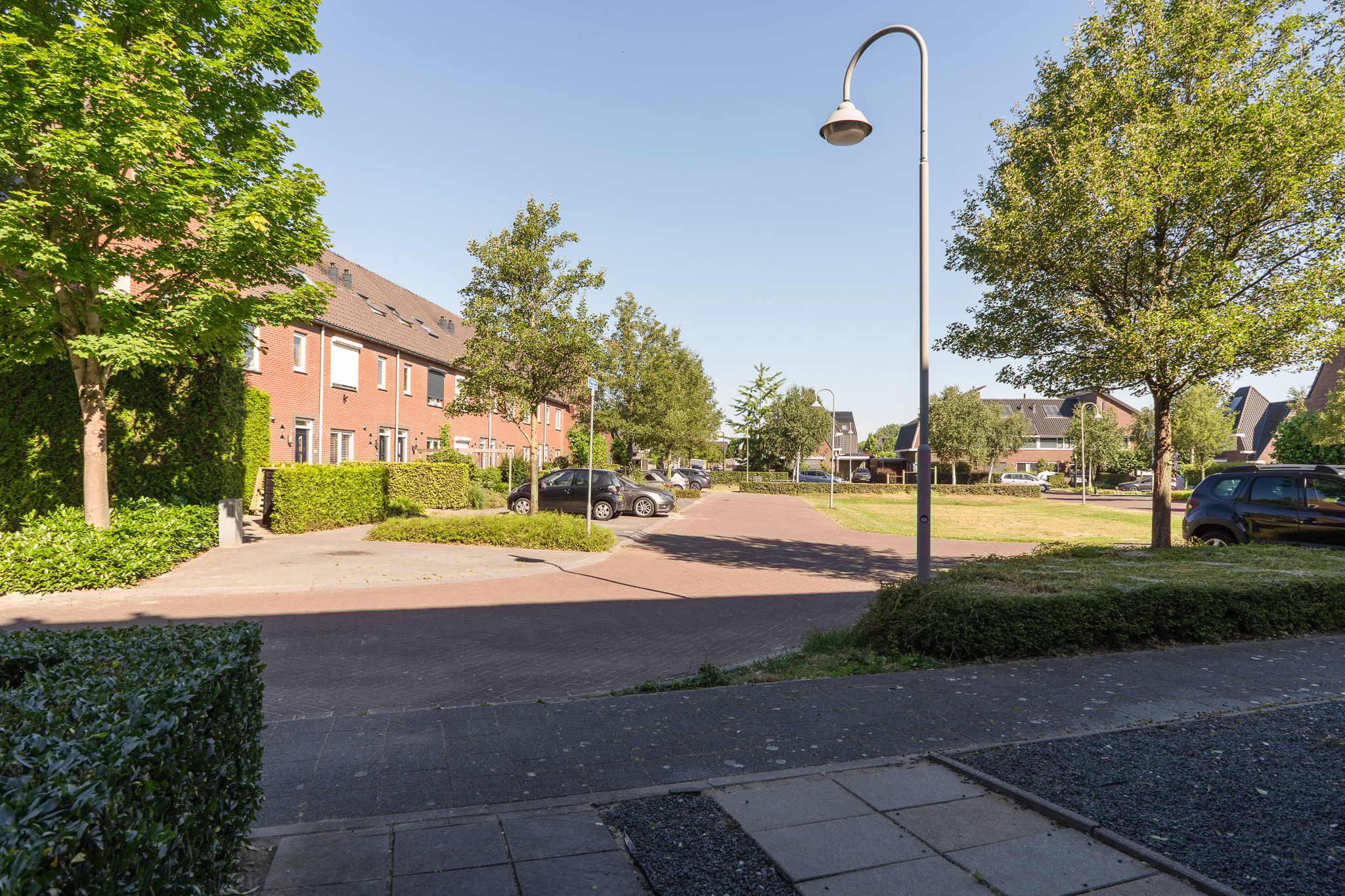 Photo 45 of Sterappel 64