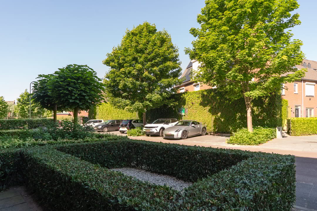 Photo 46 of Sterappel 64