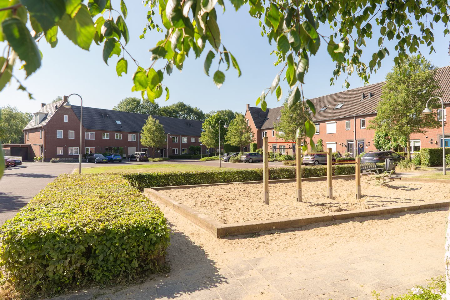 Photo 49 of Sterappel 64