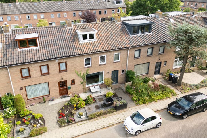 undefined main image
