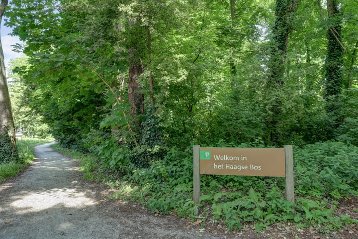 Foto 57 van Joan Maetsuyckerstraat 28