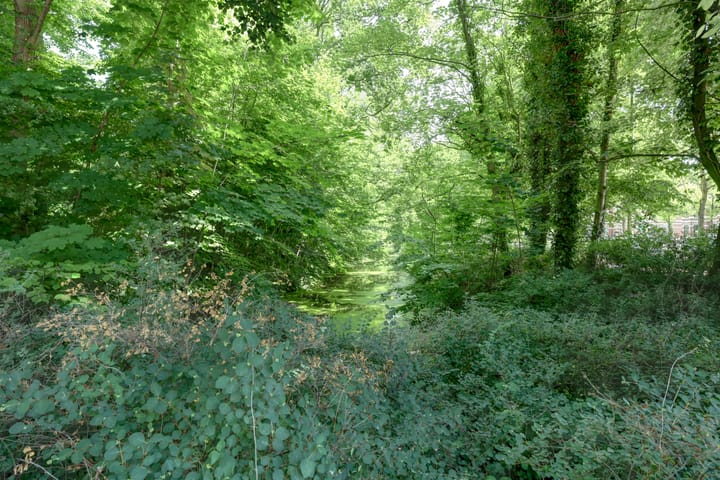 Foto 58 van Joan Maetsuyckerstraat 28