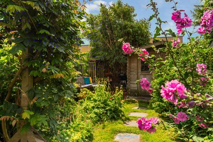 Foto 25 van Violierenweg 28