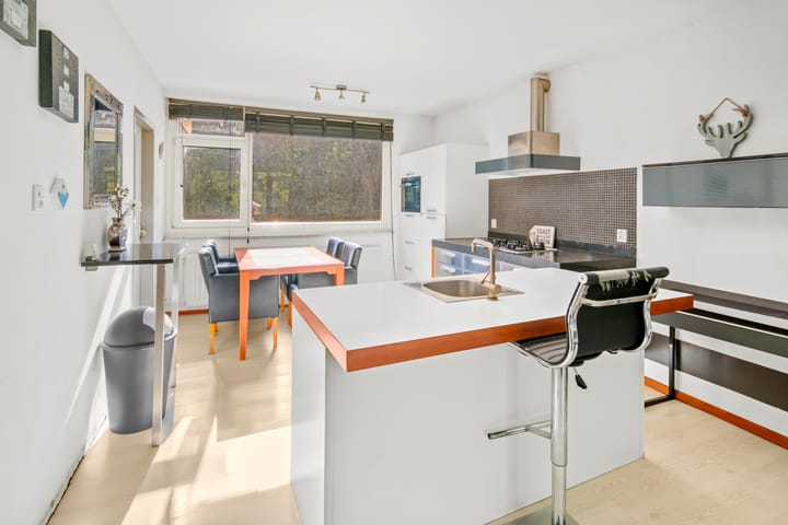 Foto 8 van Jacob van Ruijsdaelstraat 34-A