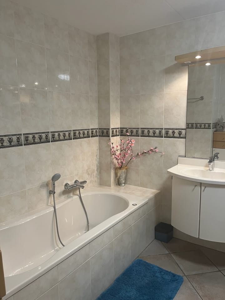 Foto 13 van De Dijk 39