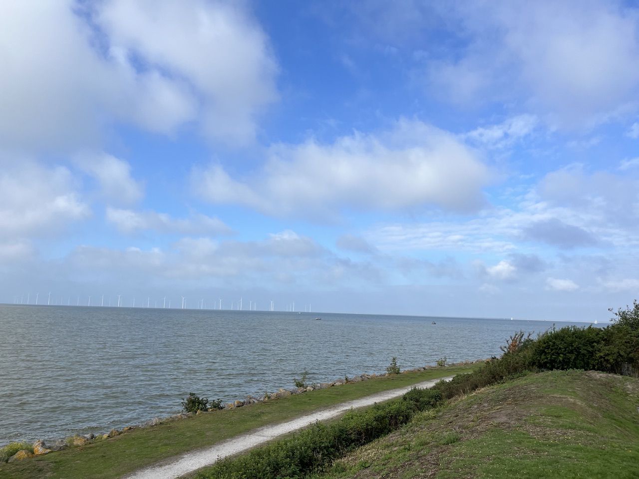 Foto 24 van De Dijk 39